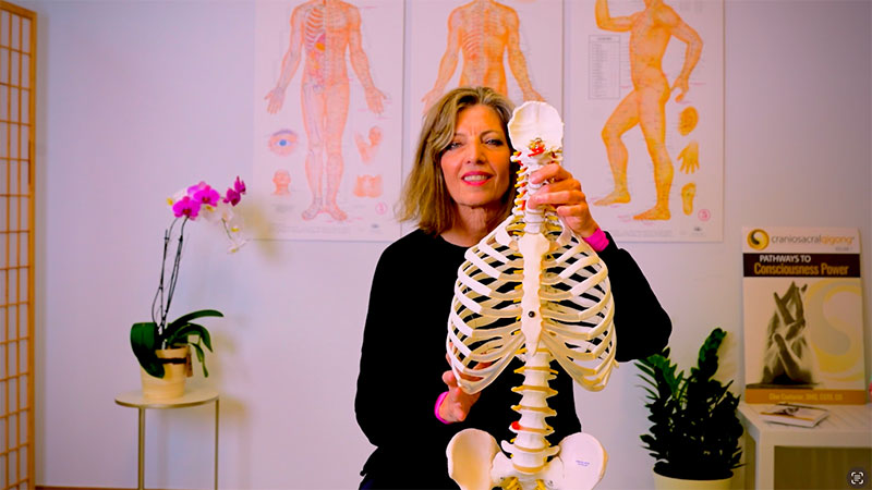 posture-sead The Seed of Posture